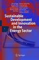 Sustainable Development and Innovation in the Energy Sector