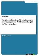 Die spätmittelalterliche Wirtschaftsstruktur. Entwicklungen und Probleme am Beispiel der Tuchherstellung