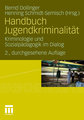 Handbuch Jugendkriminalität