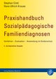 Praxishandbuch Sozialpädagogische Familiendiagnosen