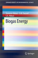 Biogas Energy