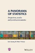 A Panorama of Statistics