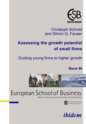 Assessing the growth potential of small firms