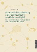 Grammatikthematisierung unter der Bedingung von Mehrsprachigkeit