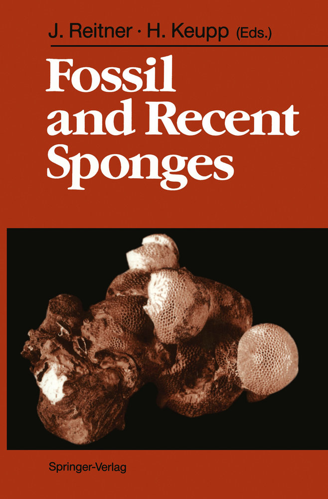 Fossil and Recent Sponges