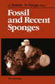 Fossil and Recent Sponges