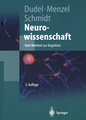 Neurowissenschaft