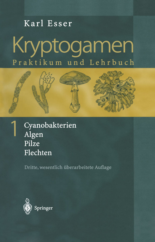 Kryptogamen 1