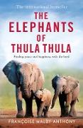 The Elephants of Thula Thula