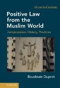 Positive Law from the Muslim World