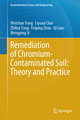 Remediation of Chromium-Contaminated Soil: ¿Theory and Practice¿