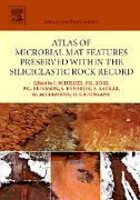 Atlas of Microbial Mat Features Preserved within the Siliciclastic Rock Record: Volume 2