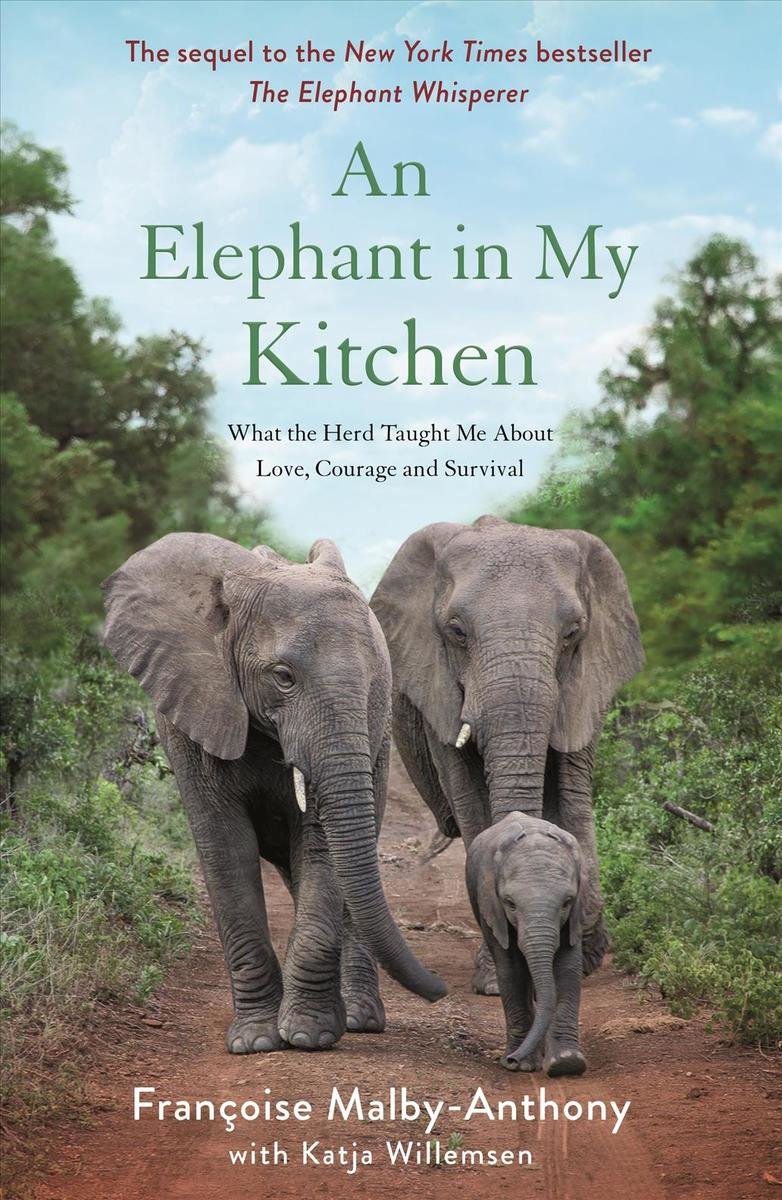 An Elephant in My Kitchen