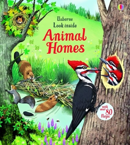 Look Inside Animal Homes