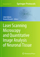 Laser Scanning Microscopy and Quantitative Image Analysis of Neuronal Tissue