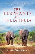 The Elephants of Thula Thula