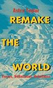 Remake the World