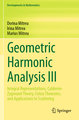 Geometric Harmonic Analysis III