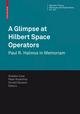 A Glimpse at Hilbert Space Operators