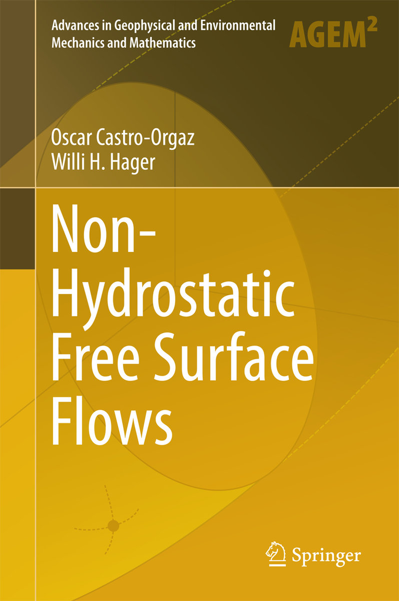 Non-Hydrostatic Free Surface Flows