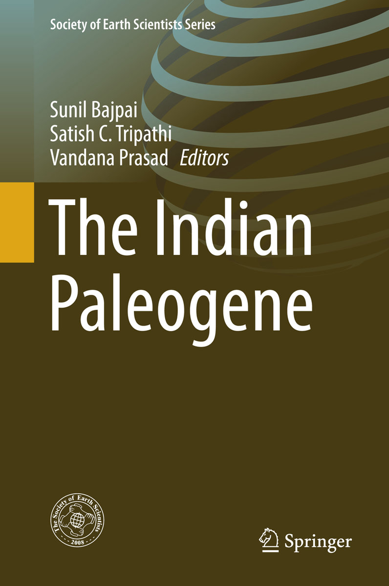 The Indian Paleogene