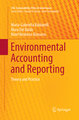 Environmental Accounting and Reporting