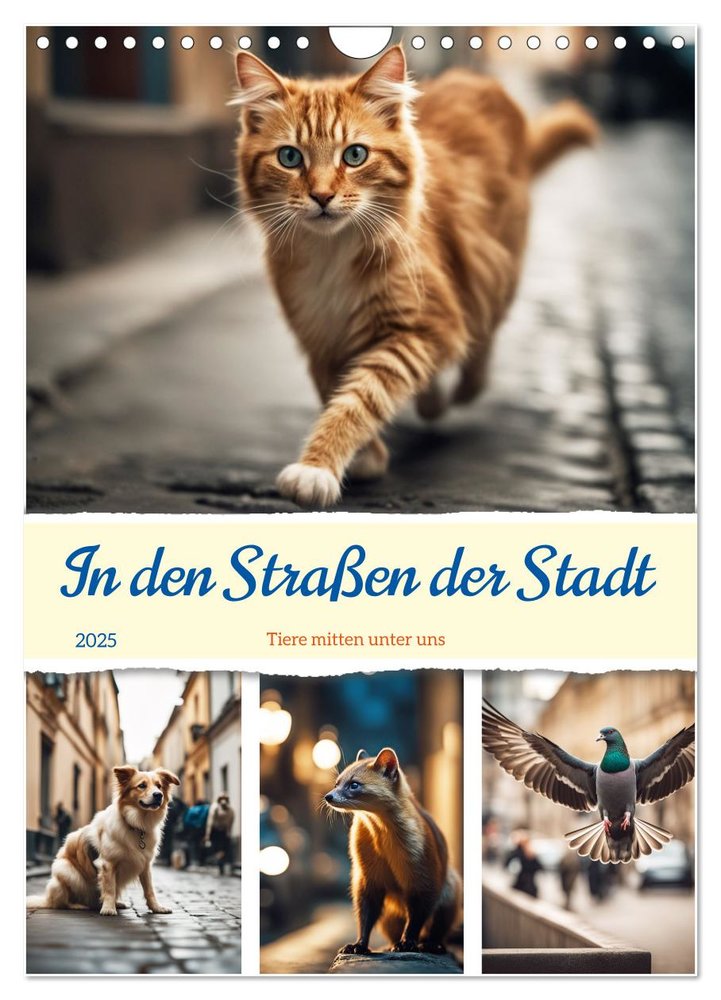 In den Straßen der Stadt - Tiere mitten unter uns (Wandkalender 2025 DIN A4 hoch), CALVENDO Monatskalender