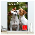 Jack Russel Terrier - furchtlos und viel Selbstvertrauen (hochwertiger Premium Wandkalender 2025 DIN A2 hoch), Kunstdruck in Hochglanz