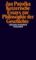 Ketzerische Essays zur Philosophie der Geschichte