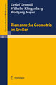 Riemannsche Geometrie im Großen