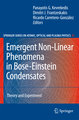 Emergent Nonlinear Phenomena in Bose-Einstein Condensates