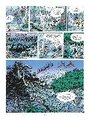 Marsupilami 23: Der Tempel im Urwald