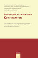 Konfirmandenarbeit erforschen und gestalten / Jugendliche nach der Konfirmation