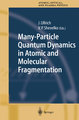 Many-Particle Quantum Dynamics in Atomic and Molecular Fragmentation