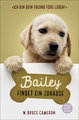 Bailey findet ein Zuhause