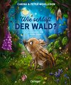 Wie schläft der Wald?