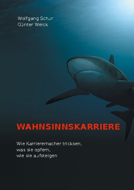 Wahnsinnskarriere