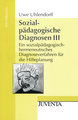 Sozialpädagogische Diagnosen III