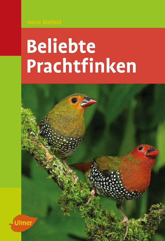 Beliebte Prachtfinken