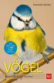 Vögel