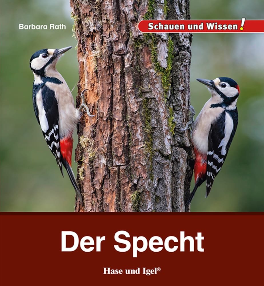 Der Specht