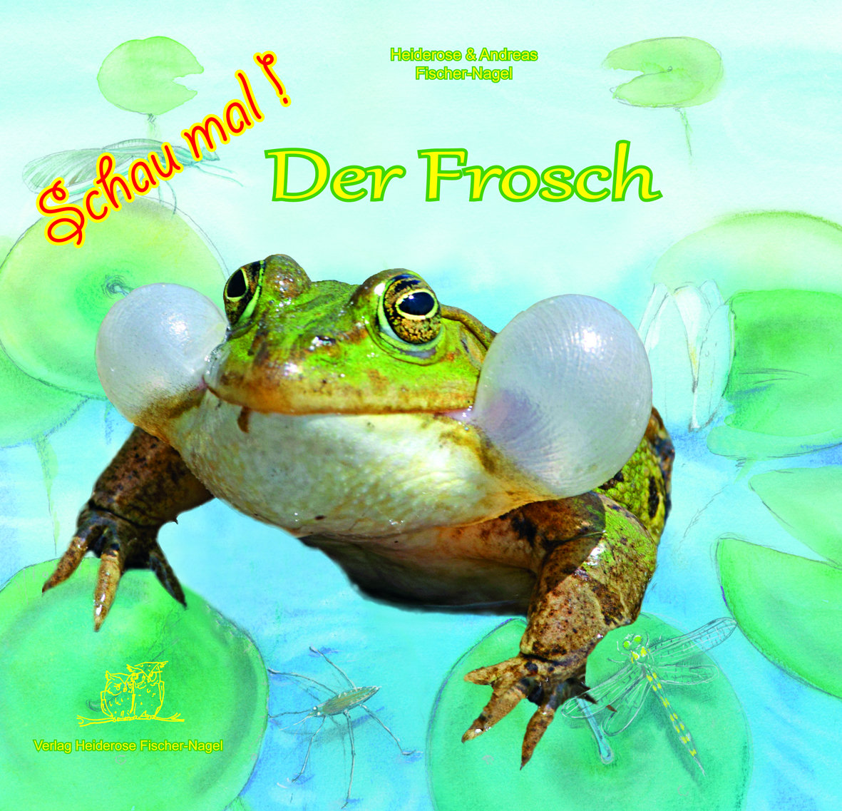 Schau mal! Der Frosch