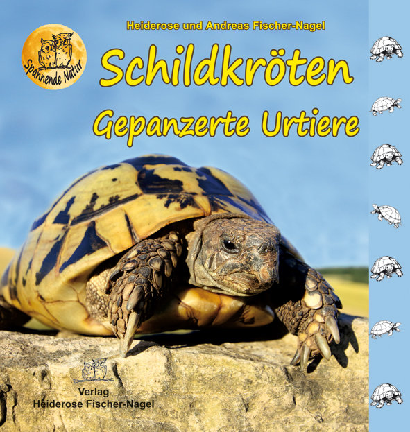 Schildkröten - Gepanzerte Urtiere