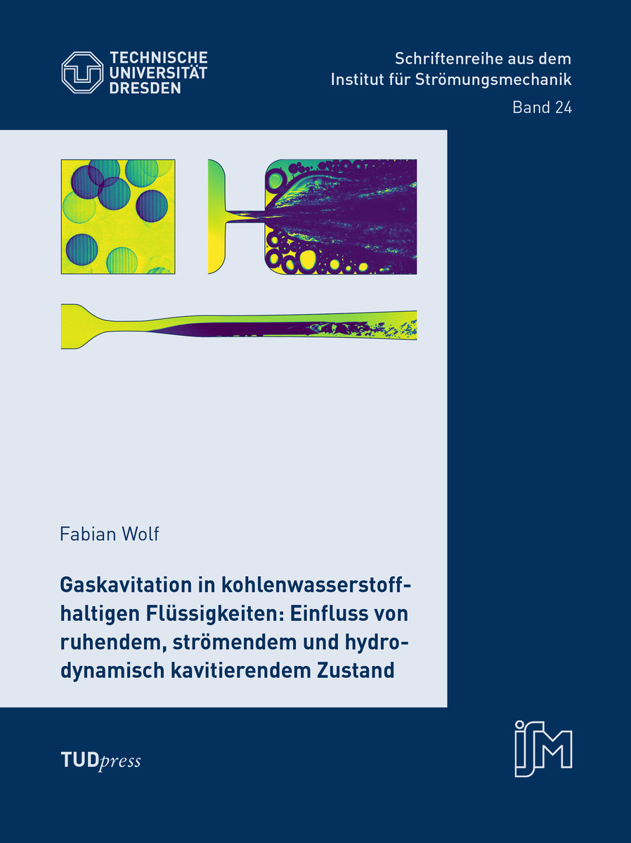 Gaskavitation in kohlenwasserstoffhaltigen Flüssigkeiten: Einfluss von ruhendem, strömendem und hydrodynamisch kavitierendem Zustand