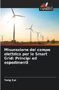 Misurazione del campo elettrico per le Smart Grid: Principi ed esperimenti