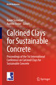 Calcined Clays for Sustainable Concrete