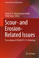 Scour- and Erosion-Related Issues