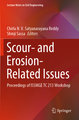 Scour- and Erosion-Related Issues